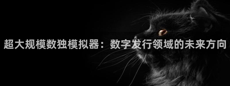 pp电子官网跑路了吗：超大规模数独模拟器：数字发行领域的未来方向