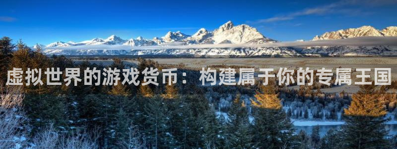 pp电子是什么品牌：虚拟世界的游戏货币：构建属于你的专属王国