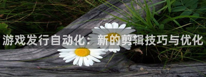 pp电子官网注册方法有哪些：游戏发行自动化：新的剪辑技巧与优化
