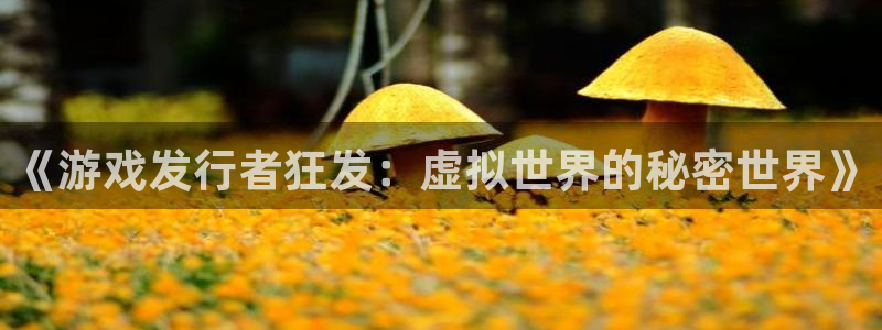 pp电子衣服怎么样：《游戏发行者狂发：虚拟世界的秘密世界》