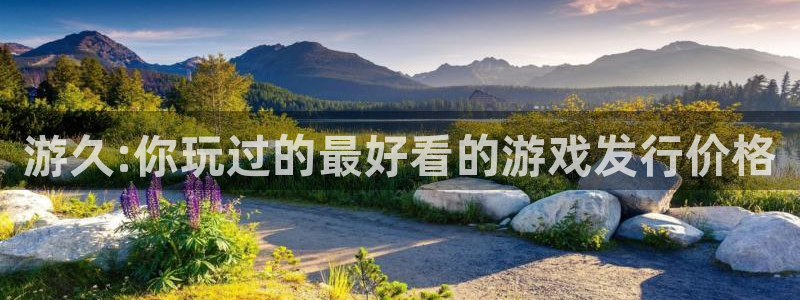 江苏pp电子智得：游久:你玩过的最好看的游戏发行价格
