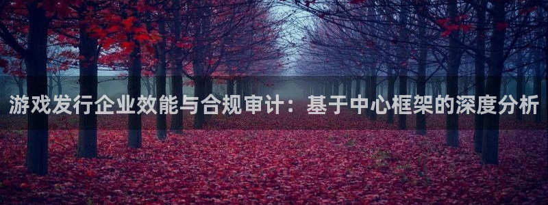 pp电子平台：游戏发行企业效能与合规审计：基于中心框架的深度分析
