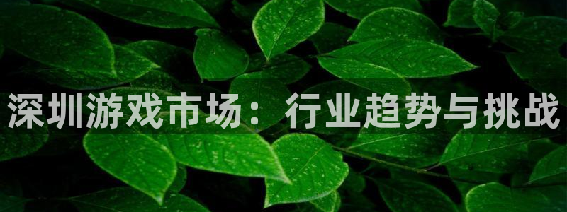 pp电子官网平台代理开号：深圳游戏市场：行业趋势与挑战