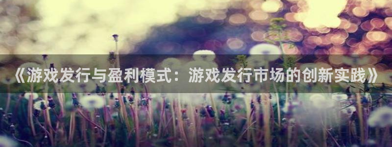 pp电子电子商务