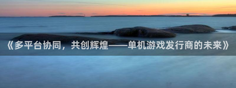 pp电子官网注册地址在哪里查询：《多平台协同，共创辉煌——单机游戏发行商的未来》