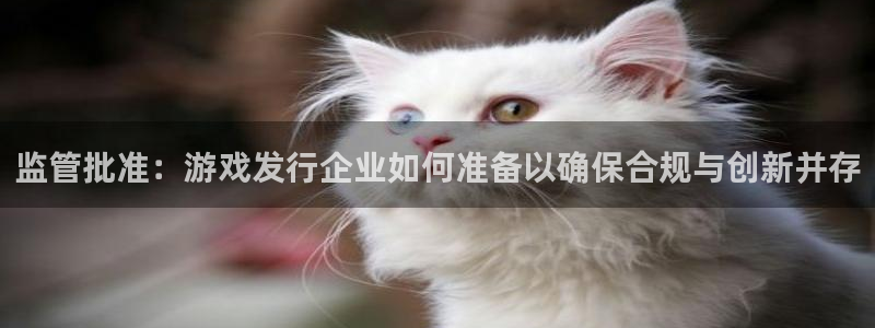 pp电子官网注册地址在哪里查询：监管批准：游戏发行企业如何准备以确保合规与创新并存