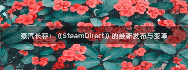 pp电子官网注册地址：蒸汽长存：《SteamDirect》的最新发布与变革
