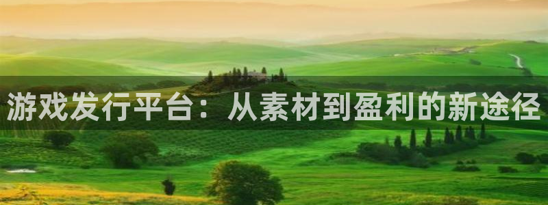 广东pp电子电子科技有限公司 联系电话：游戏发行平台：从素材到盈利的新途径