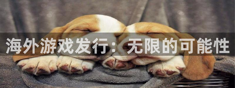 pp电子集团董事长刘一辰简历
