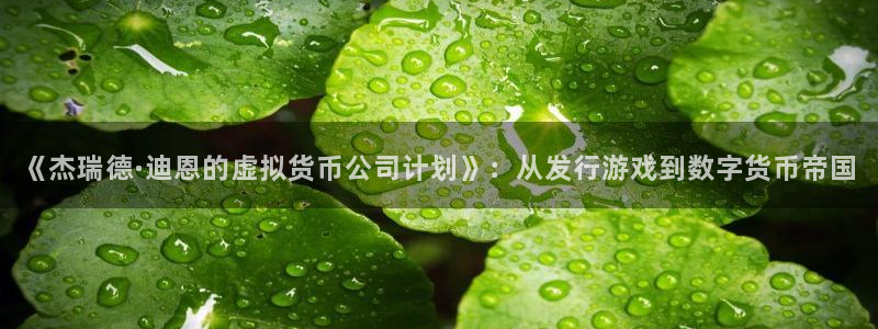 pp电子官网客服电话是多少：《杰瑞德·迪恩的虚拟货币公司计划》：从发行游戏到数字货币帝国