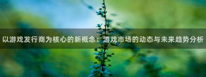 pp电子运动装有哪些品牌