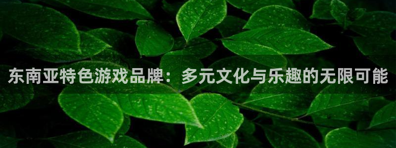 pp电子官网客服