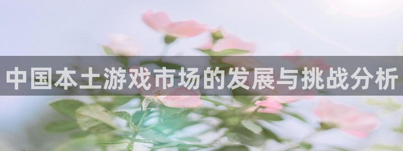 深圳pp电子电商