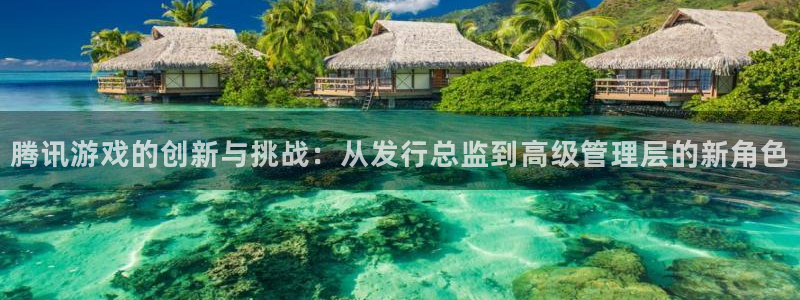 法国pp电子lvnces是奢侈品吗：腾讯游戏的创新与挑战：从发行总监到高级管理层的新角色