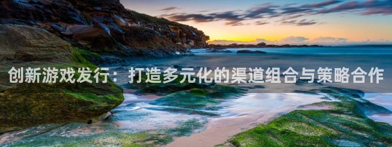 pp电子技术有限公司官网：创新游戏发行：打造多元化的渠道组合与策略合作