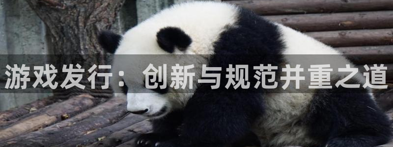 pp电子电子商务怎么样：游戏发行：创新与规范并重之道