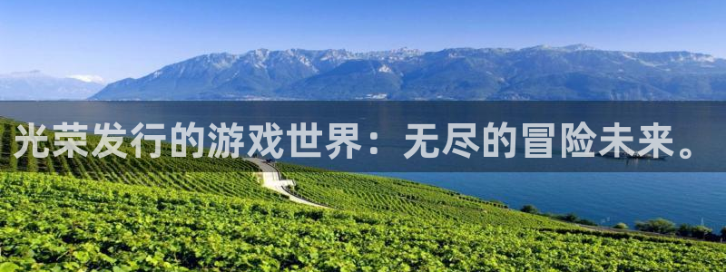 pp电子官网平台代理条件是什么