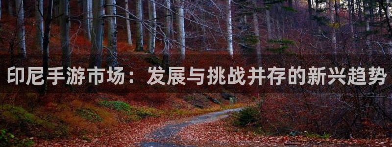 pp电子官网客服服务电话号码