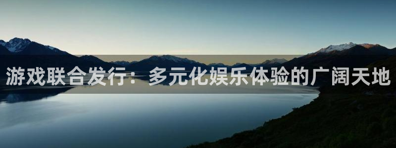 pp电子集团公司怎么样：游戏联合发行：多元化娱乐体验的广阔天地