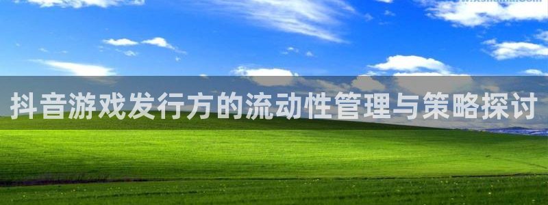 pp电子子 到底怎么样：抖音游戏发行方的流动性管理与策略探讨